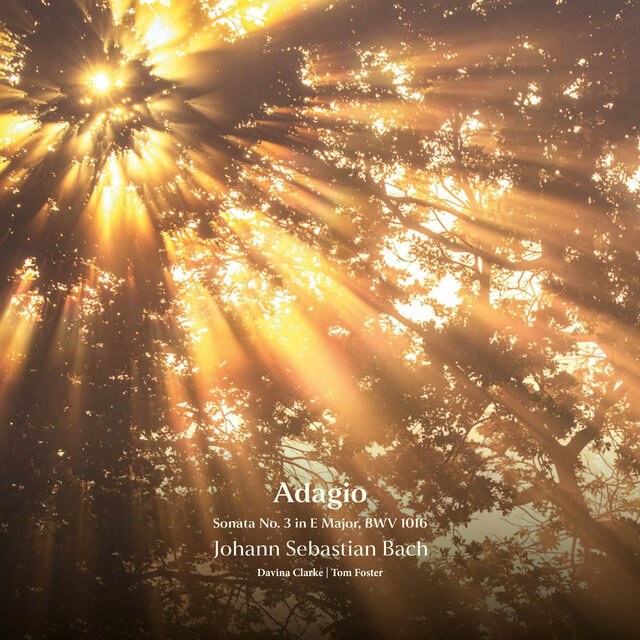 Bach: Sonata No. 3 in E Major, BWV 1016: Adagio