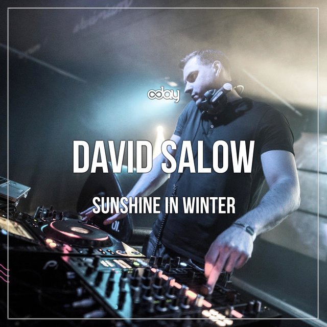 Sunshine In Winter