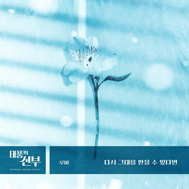 태풍의 신부 (Original Soundtrack), Pt.19