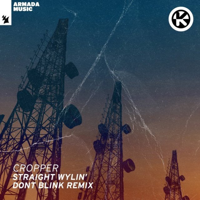 Straight Wylin' (DONT BLINK Remix)