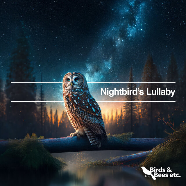 Nightbird’s Lullaby