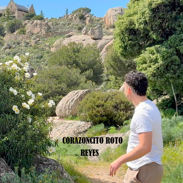 CORAZONCITO ROTO