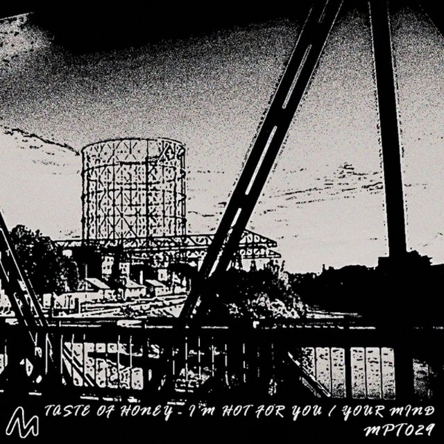 I'm Hot for You / Your Mind