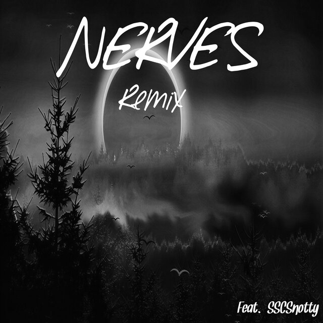 Nerves (Remix)