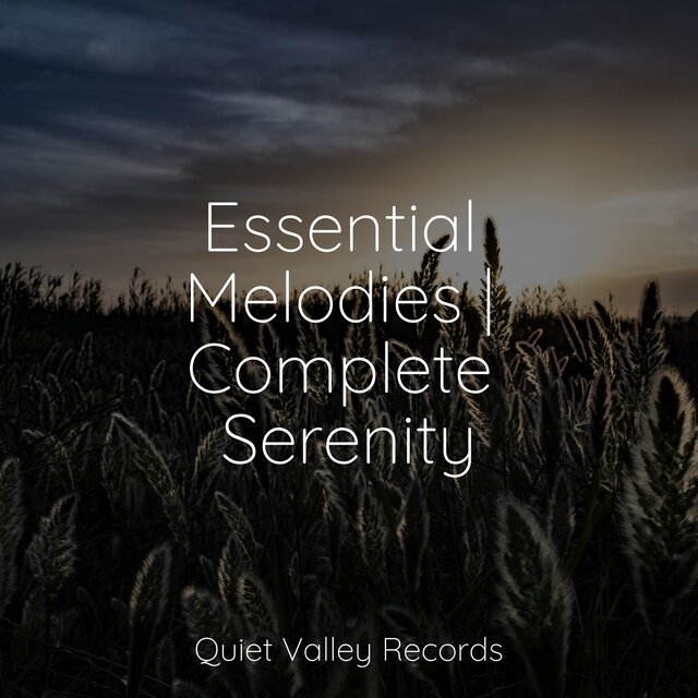 Essential Melodies | Complete Serenity