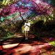 Cover art for album Hey Daydreamer by Sally Seltmann