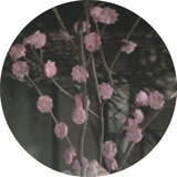 Trauma And Its Clutches (Original Mix)