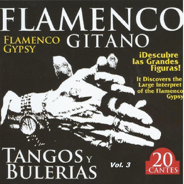 Flamenco Gitano - Tangos y Bulerías Vol. 3