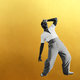 Cover art for album Gold-Diggers Sound by Leon Bridges