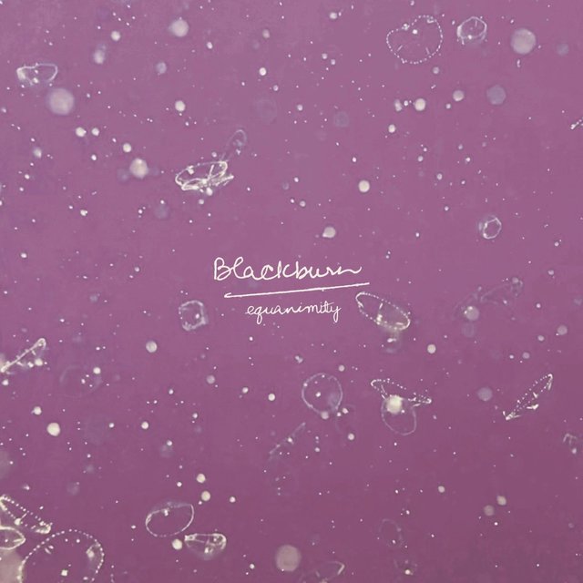 equanimity (Courtney Ballard/stef Remix)