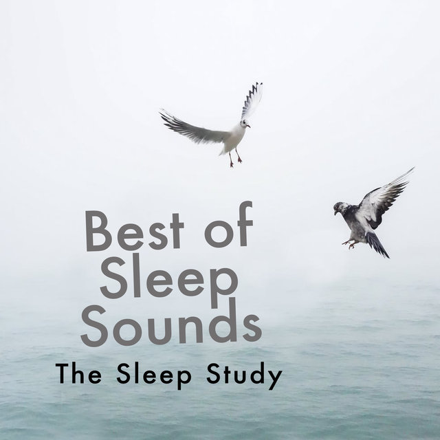 Best of Sleep Sounds