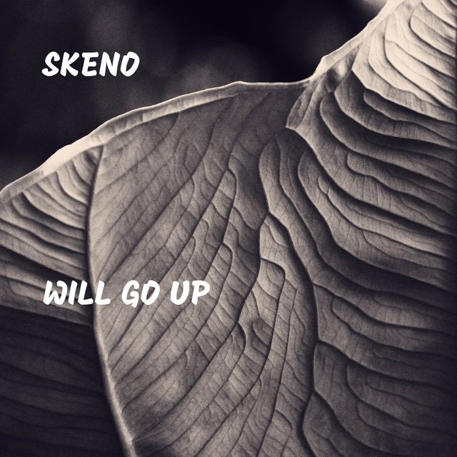 Will Go Up