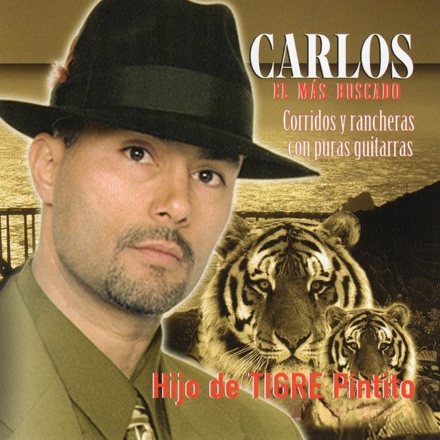 Hijo de Tigre Pintito