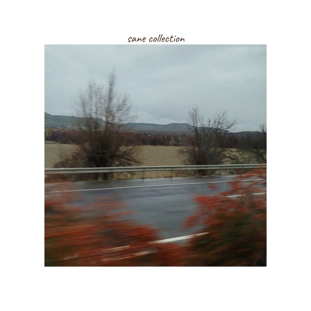 sane collection