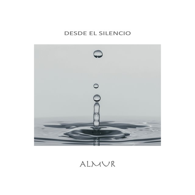 Desde el Silencio