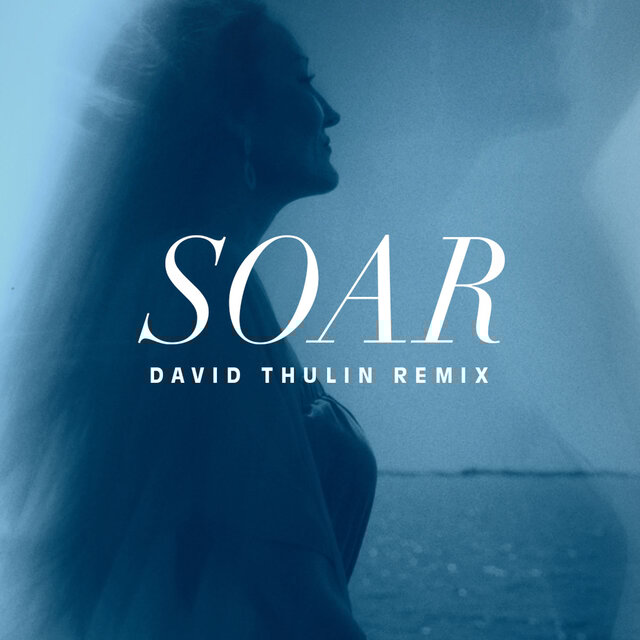 Soar (David Thulin Remix)