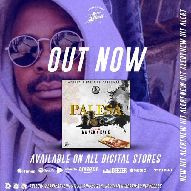 Palesa (feat. Ma-Azo & DJ Fingz)