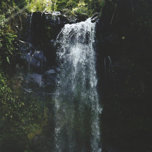 Falling Into a Dream