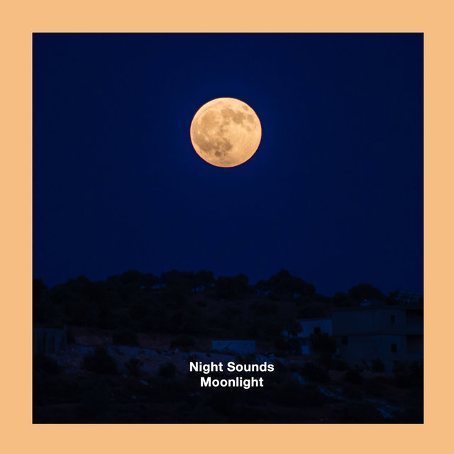 Moonlight