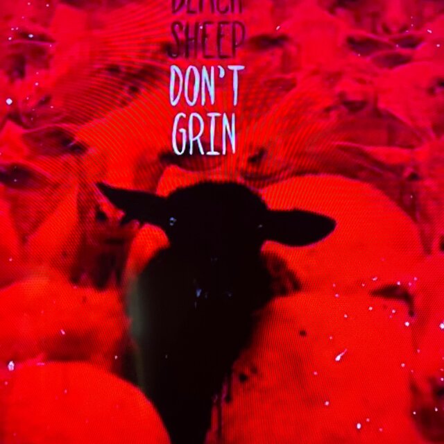 Black Sheep