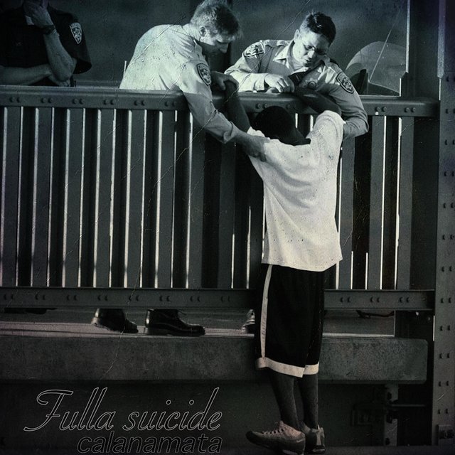 Fulla suicide