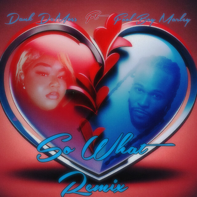 So What (Remix)