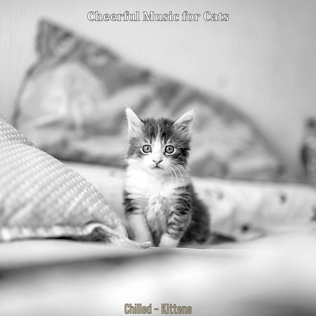 Chilled - Kittens