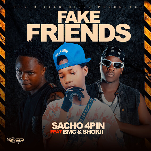 Fake Friends