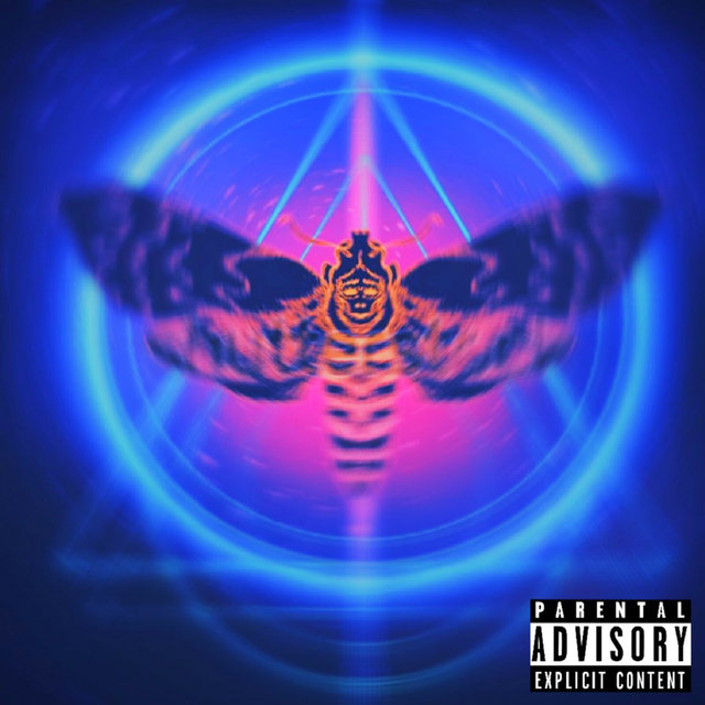 Euphoric Metamorphosis