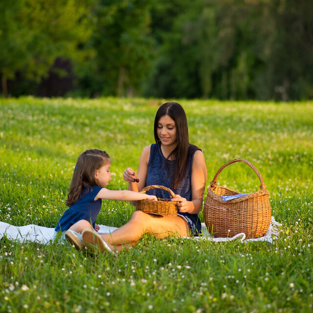 Picnic Day