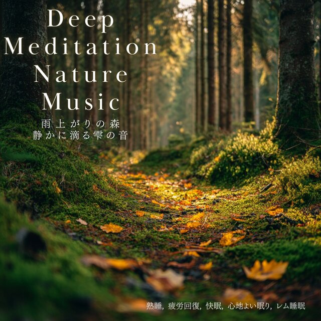 Raindrop Sounds in the Forest - Deep Sleep, Fatigue Recovery, Pleasant Sleep, REM Sleep, Deep Meditation Nature Music