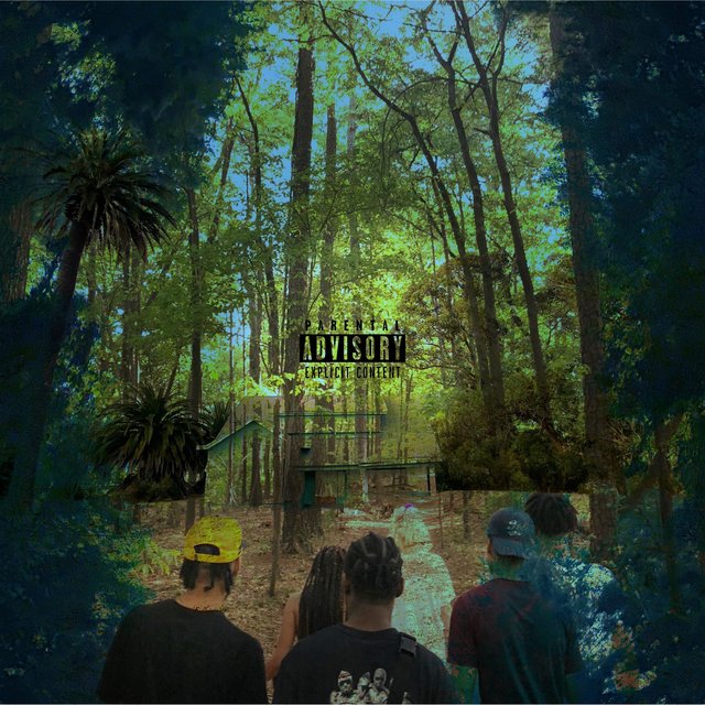 Shy Woods