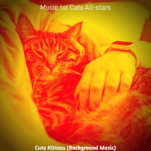 Cute Kittens (Background Music)