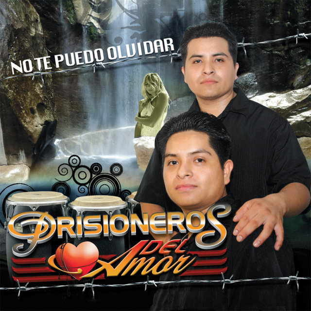 No Te Puedo Olvidar
