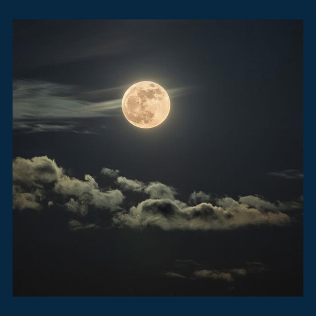 Insomnia