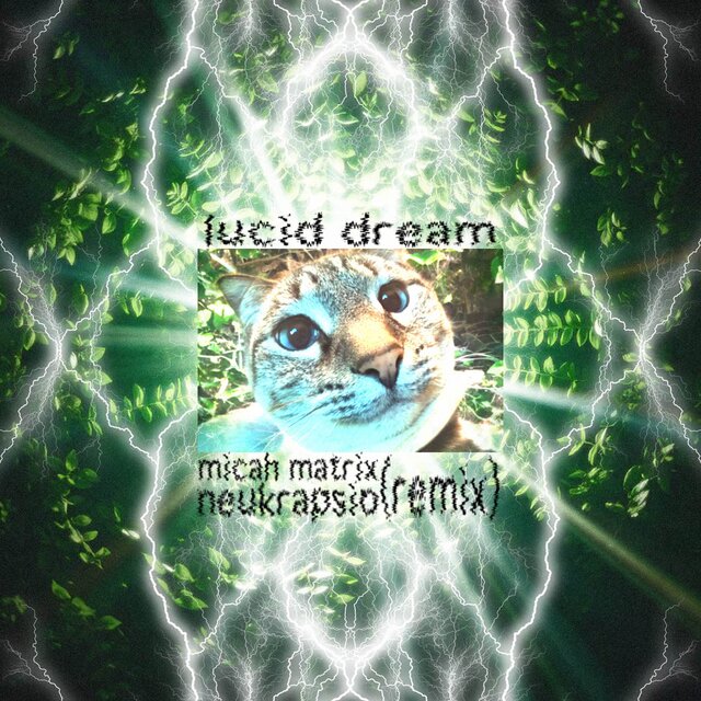 Lucid Dream