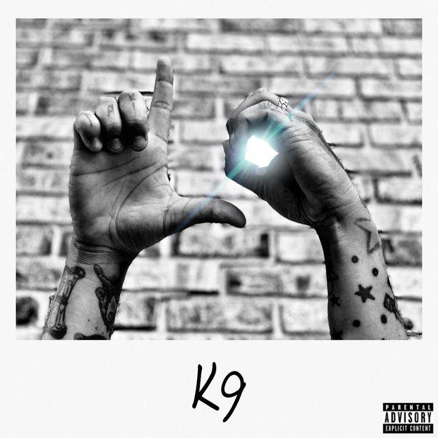 K9