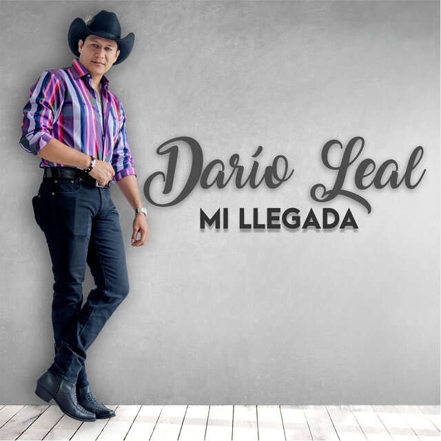 Mi llegada