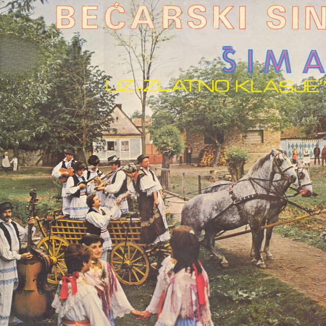 Bećarski sin