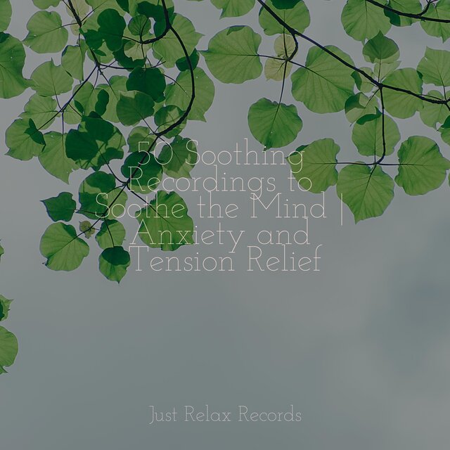 50 Soothing Recordings to Soothe the Mind | Anxiety and Tension Relief