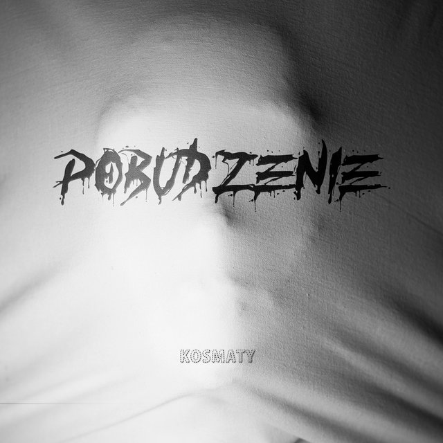 Pobudzenie