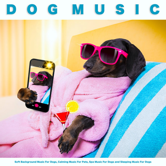 soft music for dogs