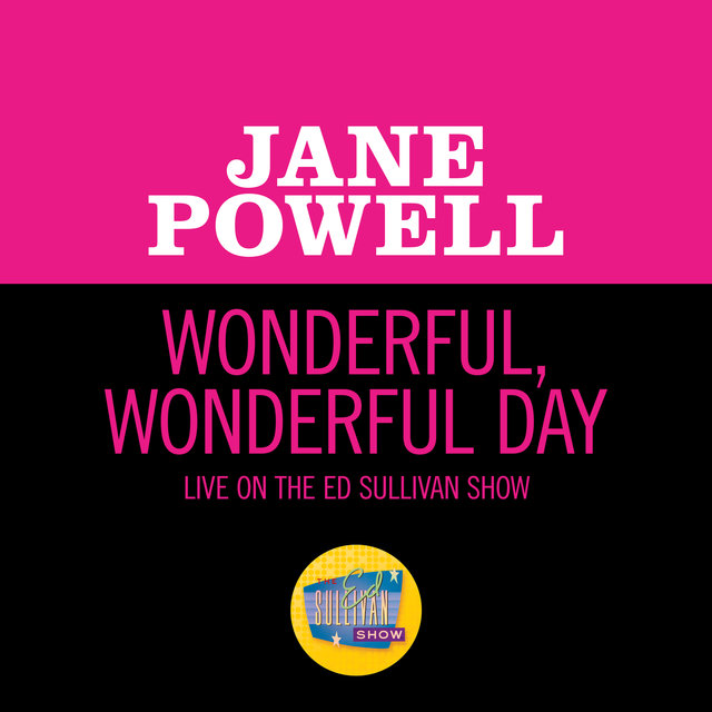 Wonderful, Wonderful Day (Live On The Ed Sullivan Show, July 19, 1964)