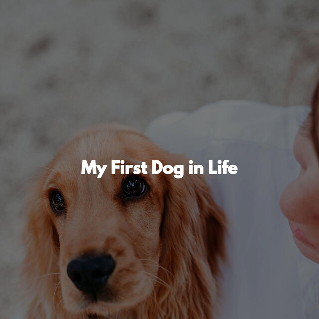 My First Dog in Life
