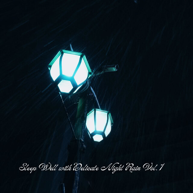 Sleep Well with Delicate Night Rain Vol. 1