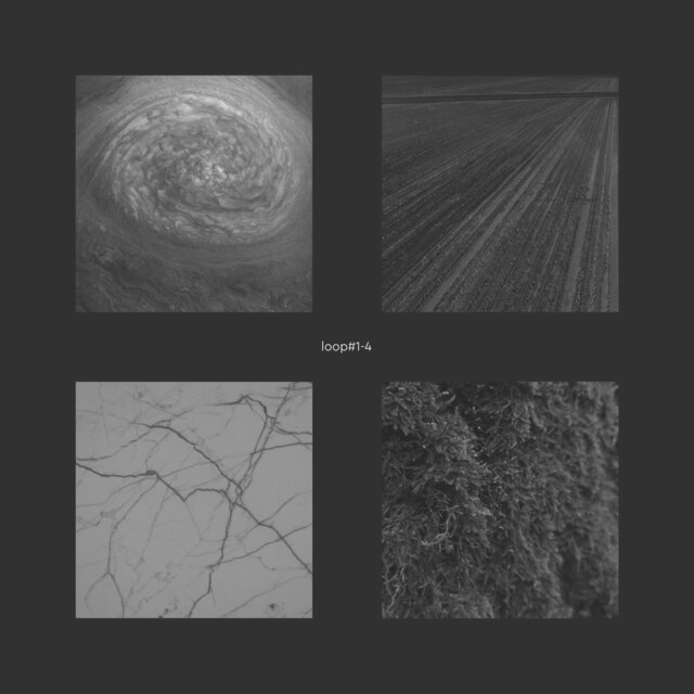 Loop#1-4