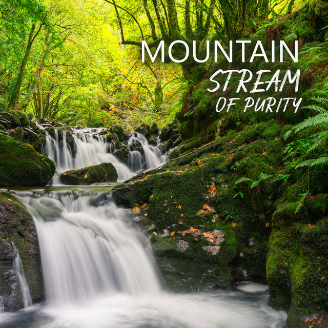 Mountain Stream of Purity: Calming Music of Nature for Harmonious Relaxation