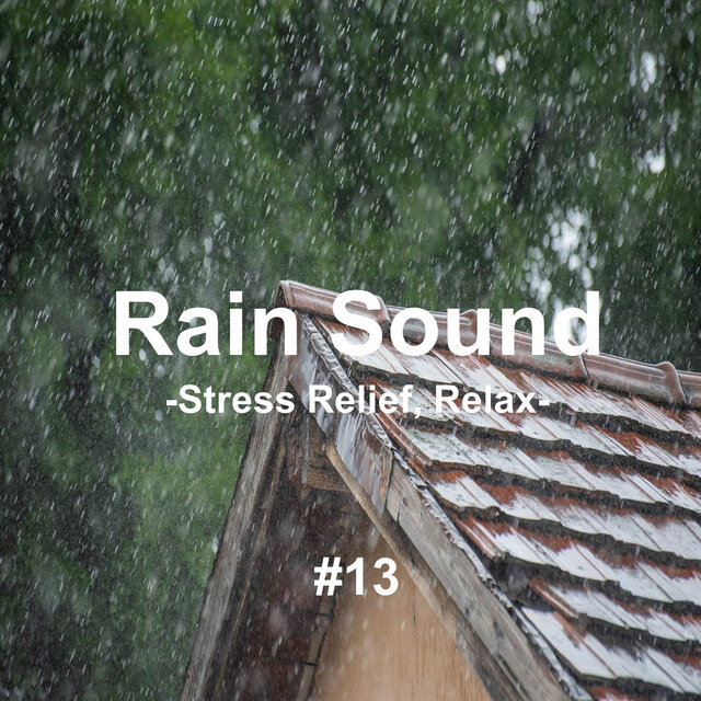 Rain Sound 13 - Sleep Rain Sound ASMR 1 Hour (Rain Sound, Sleep, Deep Sleep, Relieve Insomnia, White Noise)