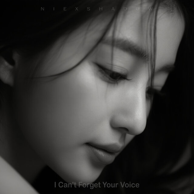 I Can't Forget Your Voice