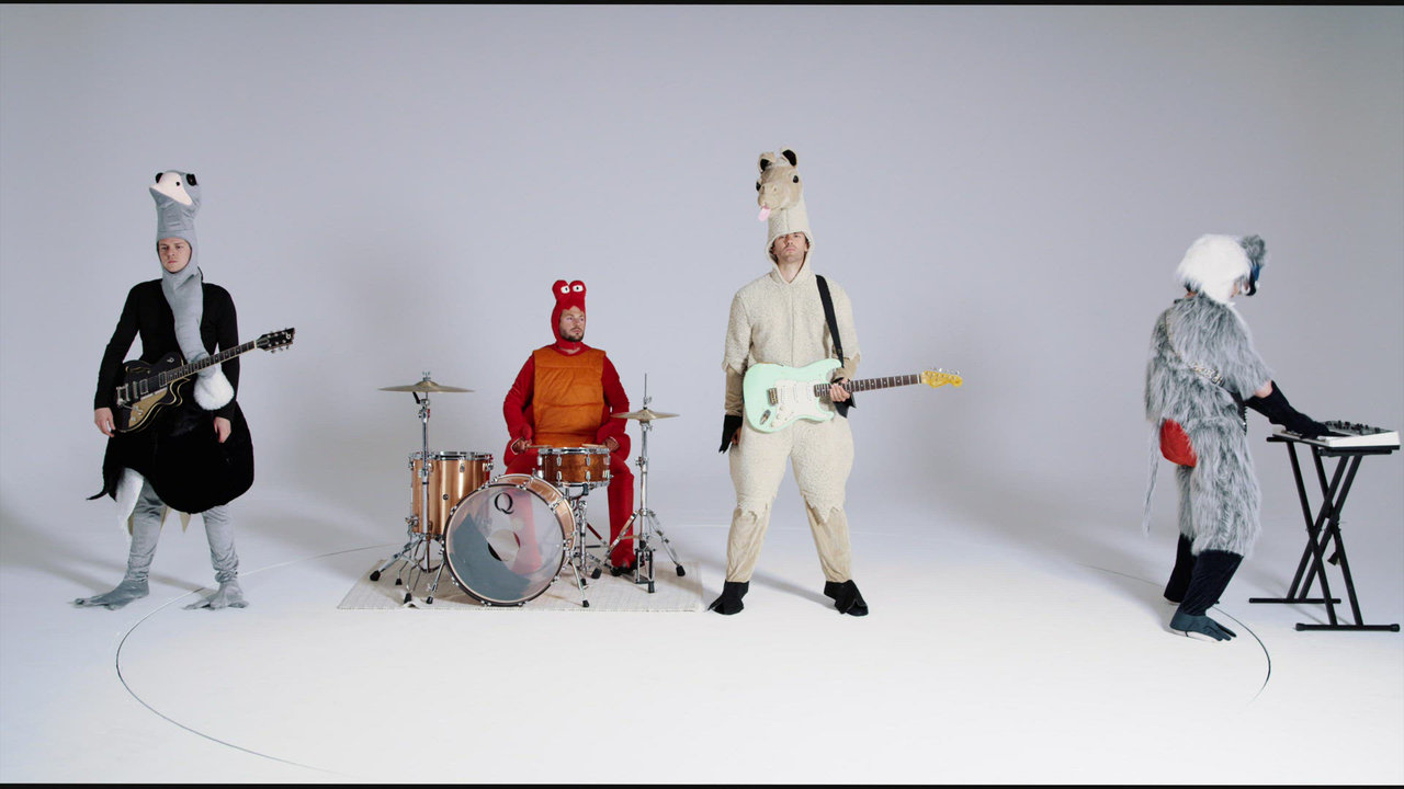 Animals